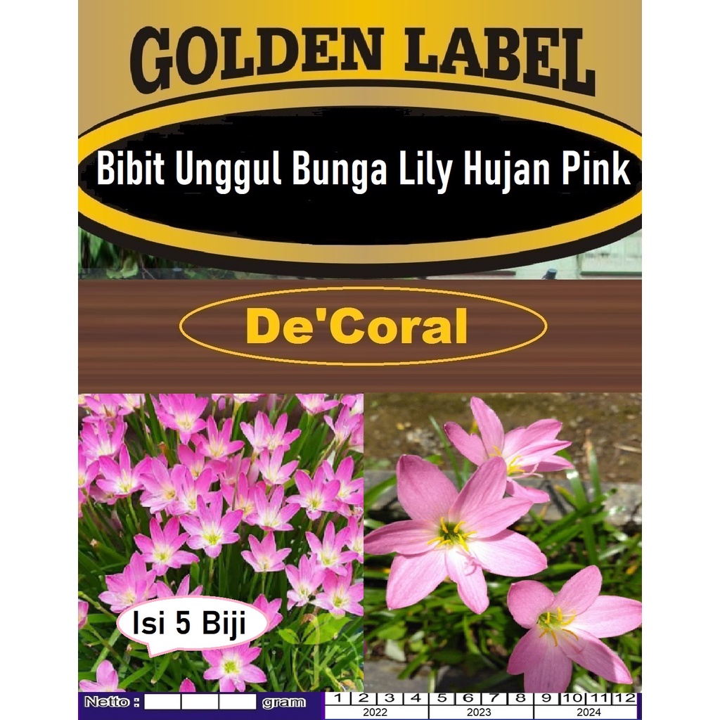 Bibit Unggul Bunga Lily Pink Hujan|Benih Bunga Lili Hujan|Lily Hujan
