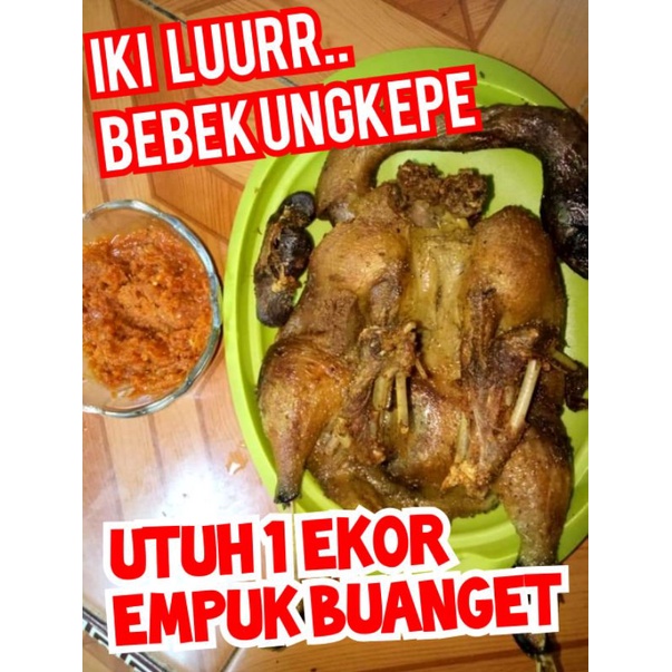 

bebek ungkep frozen