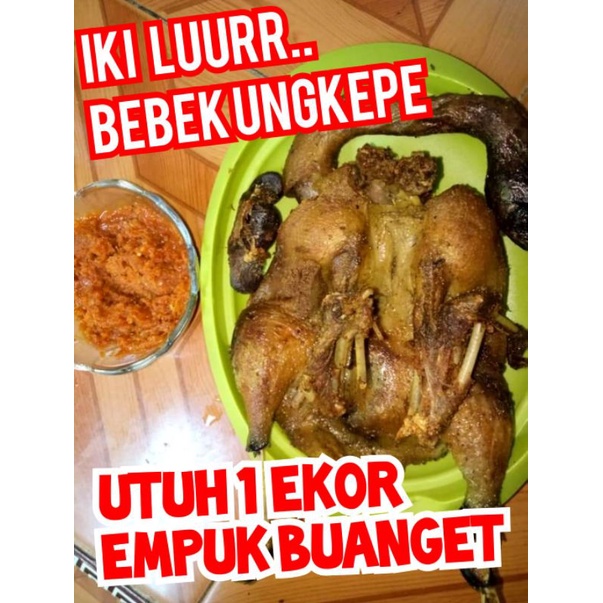 bebek ungkep frozen