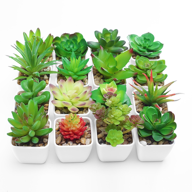 Simulasi Succulents Tanaman Pot Kecil Ruang Dalam Ruangan Tamu Bunga Buatan Bunga Buatan Tanama Shopee Indonesia