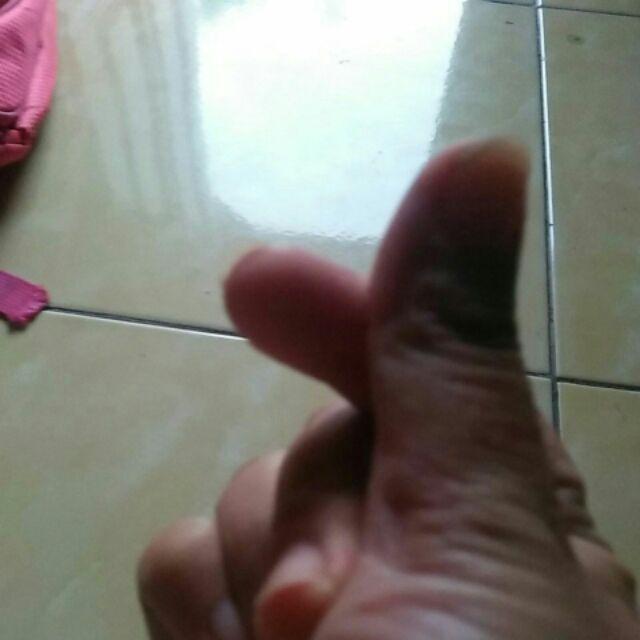 Fj Set Kebaya Srikandi Stelan Kebaya Brukat Batik Pinguin