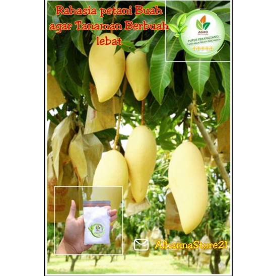 Pupuk perangsang buah/pupuk pelebat buah/PUPUK AGRO/Pupuk agro bibit/PUPUK BUAH/PUPUK AJAIB/PUPUK PE