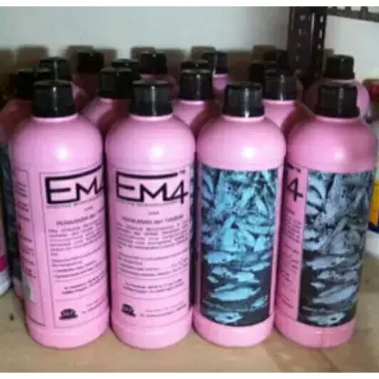 Pupuk probiotik IKAN DAN TAMBAK