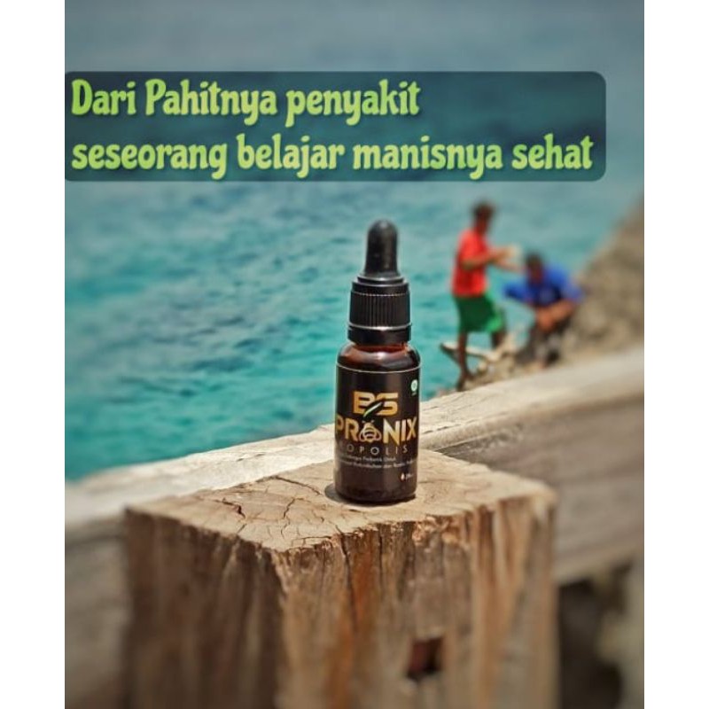 PRONIX PROPOLIS &amp; MAXI PROPOLIS SR-12