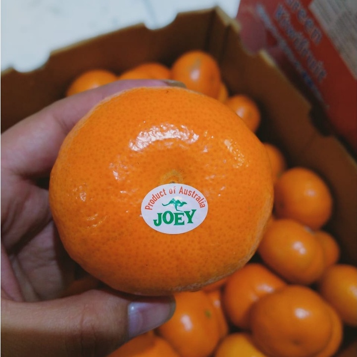 

Jeruk Mandarin Murcot / Buah Segar