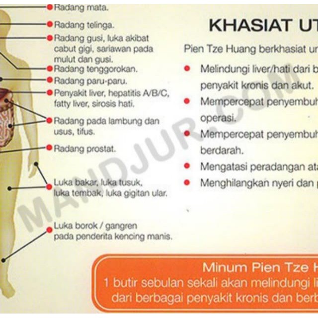 PIEN TZE HUANG ASLI obat luka operasi - liver - infeksi ampuh