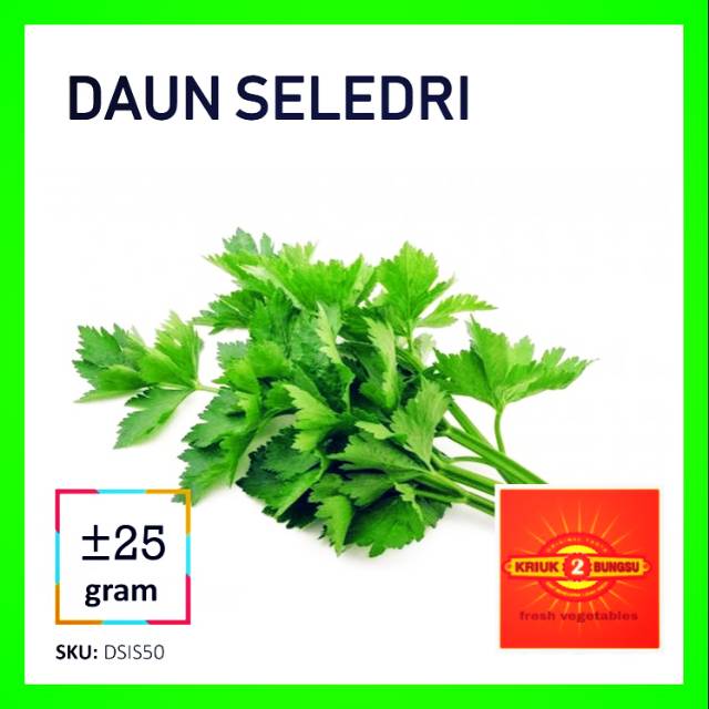 

Daun seledri segar