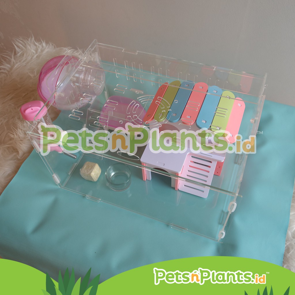 Kandang Hamster Akrilik Acrylic Cage Crystal Clear Import  35 x 25 x 25 cm