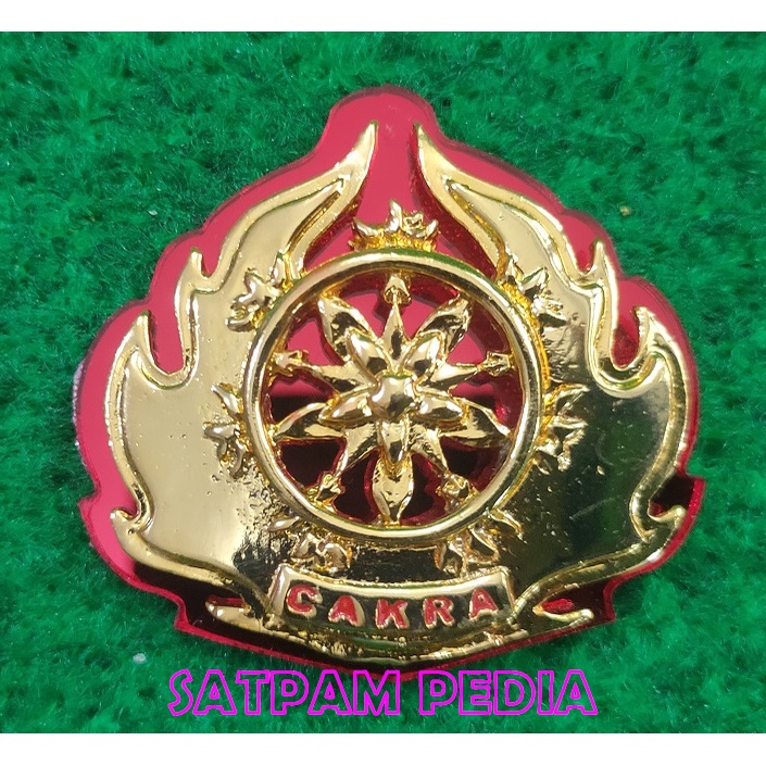 Pin Cakra Mika - Wing Cakra Mika