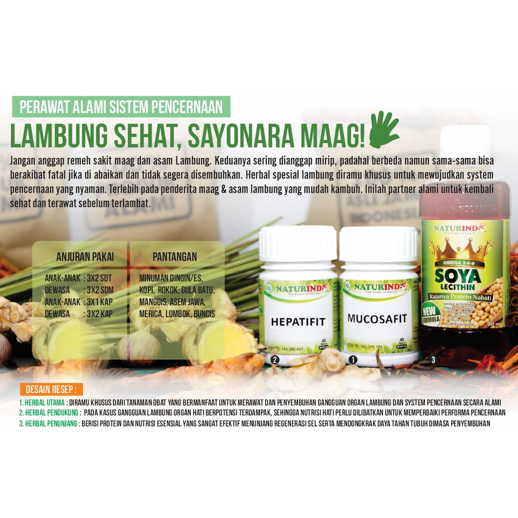 

Paket Obat Herbal Lambung Sehat Naturindo