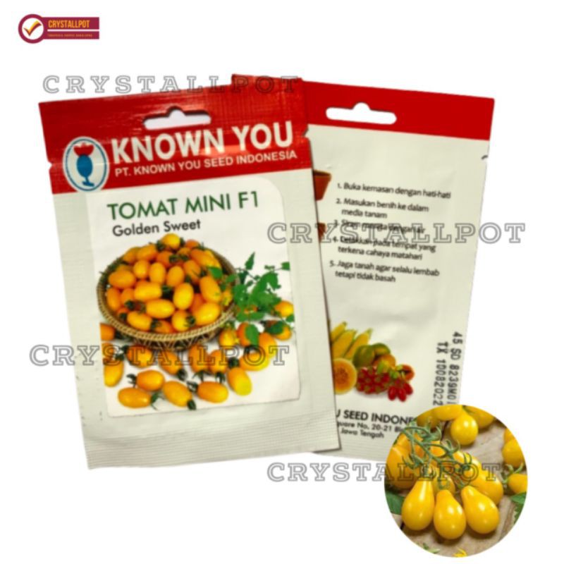 benih bibit tomat mini kuning f1 golden sweet known you seed - KYS GOLDEN SWEET