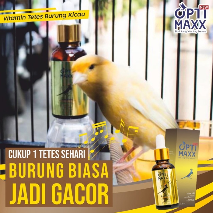 Vitamin Burung - Optimaxx Serum Vitamin Penggacor Burung