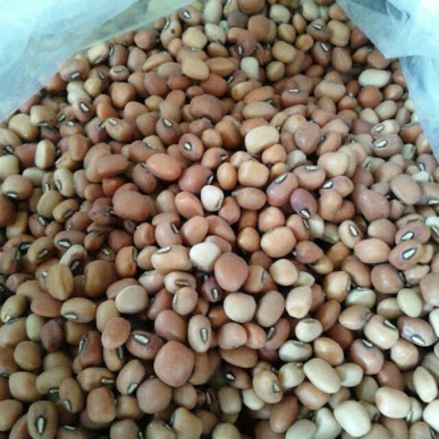 

Kacang tolo/kacang tunggak 250gr