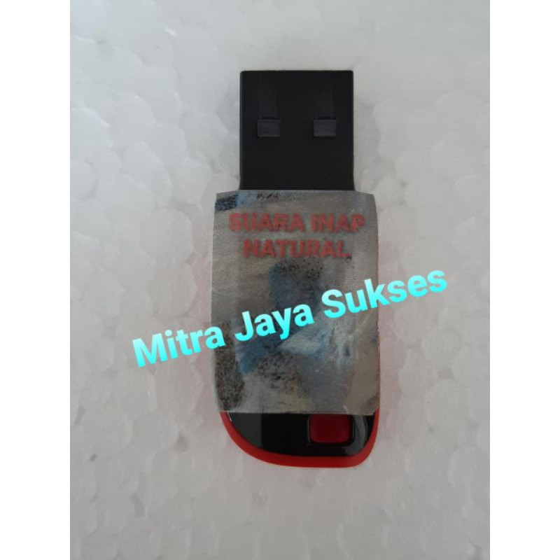 Suara Inap Walet Natural