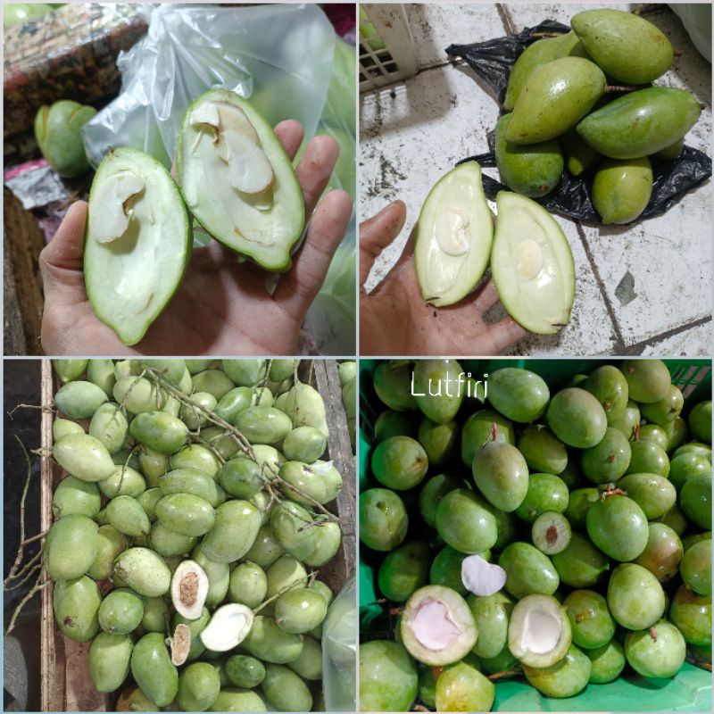 

mangga muda kriuk 1kg belah biji random kecil harumanis telor kopek lokmai mentah rujak ngidam mantap