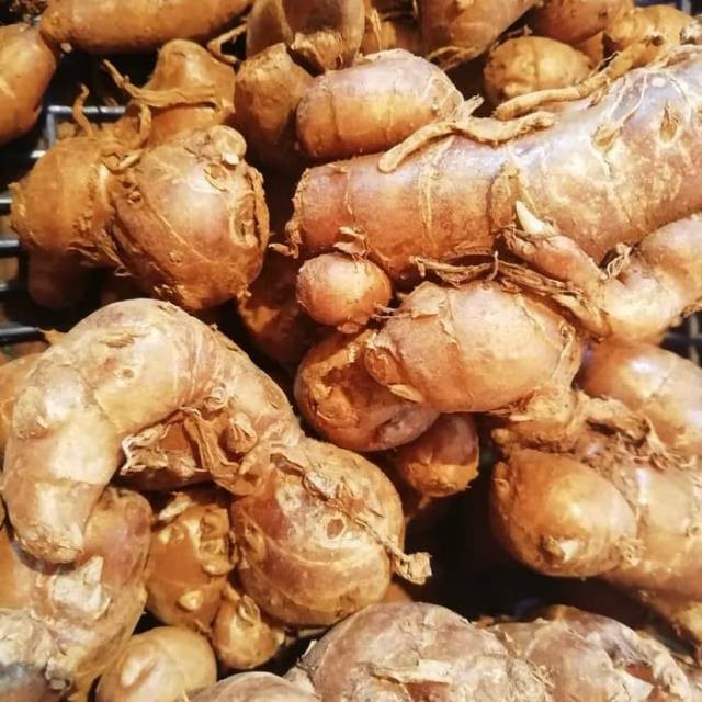 

Bumbu Dapur Kencur Rempah Rempah Bumbu Dapur Jakarta