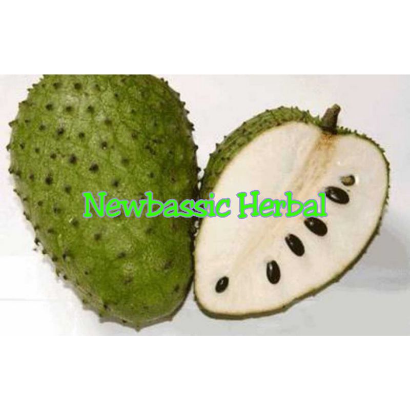 

buah sirsak 1kg fresh