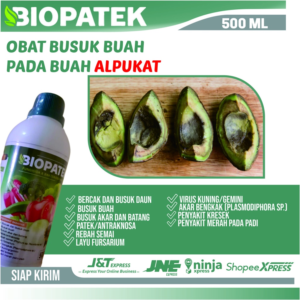 Obat Busuk Buah Pada Alpukat Musim Hujan - BIOPATEK Fungisida dan Bakterisida Hayati - Obat Semprot 