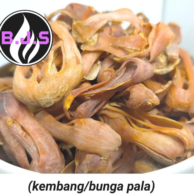 

NEW BUNGA PALA/KEMBANG PALA DRY 250GR STOK TERBATAS