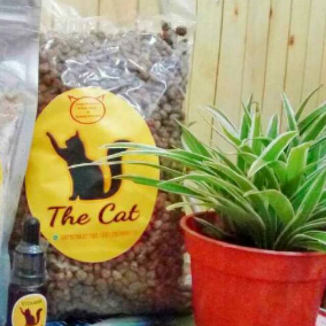 

Dryfood