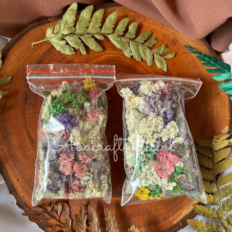 EDEWEIS SATU PLASTIK KECIL Mini Buket Bunga Edelweis Putih Abadi Hiasan Kamar Buket Bunga Kering Dek