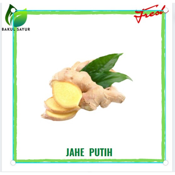 

JAHE PUTIH / JAHE PUTIH SEGAR / JAHE 100 GRAM - SAYUR SEGAR JAKARTA TIMUR