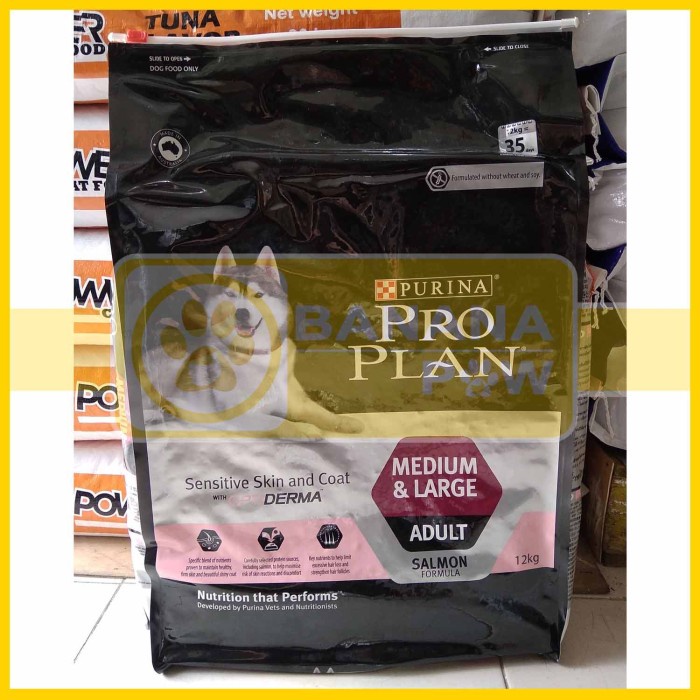Proplan Adult Dog Medium Large Sensitive Skin Coat Salmon 12 Kg