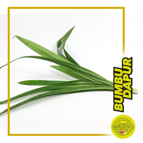 

Daun Pandan / ikat