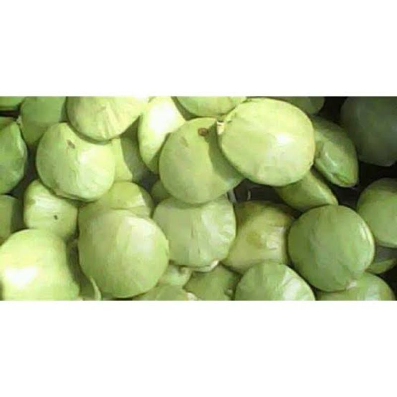 

JENGKOL MUDA LALAPAN SUDAH KUPAS 1kg Murah