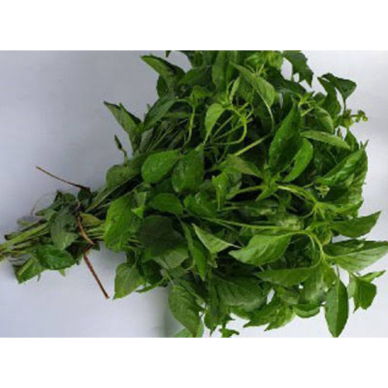 

Daun kemangi segar per 1 ikat