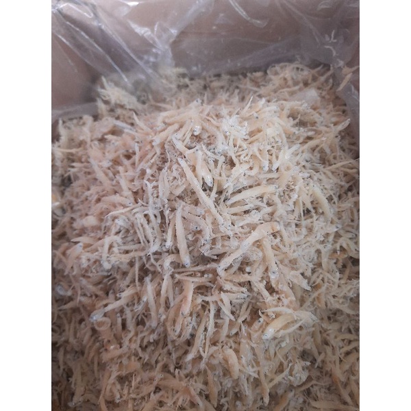 

Teri medan / Teri nasi