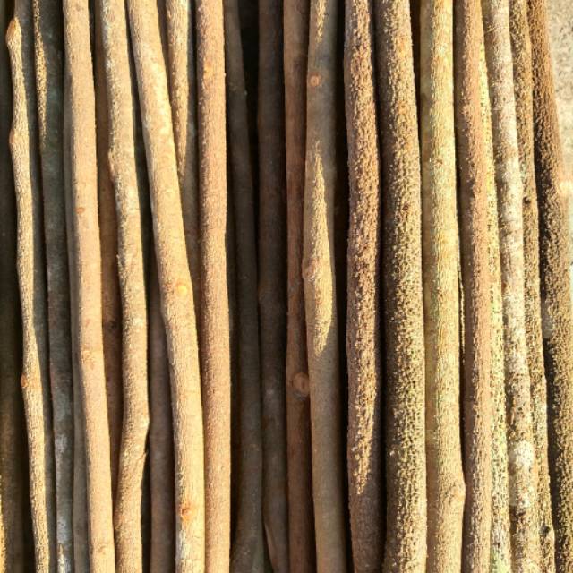 Tangkringan konin kayu asem bali