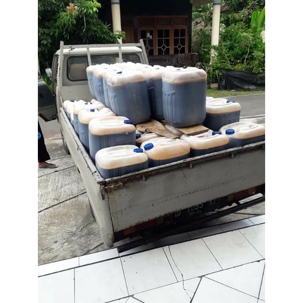 

AKASIA CARPA CURAH MADU CURAH MADU GROSIR Madu murni asli madu untuk di jual lagi