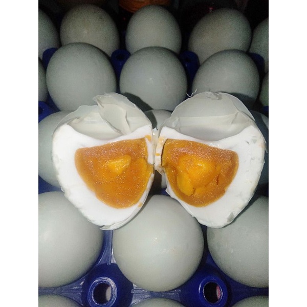 

Telur