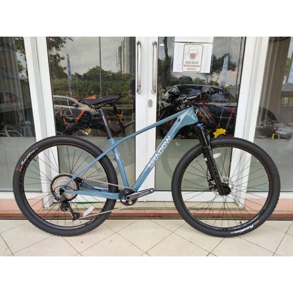 Shadow Bone Carbon MTB 29 inch Shimano Deore M6100 1x12 Nautilus Fork Continental Tires