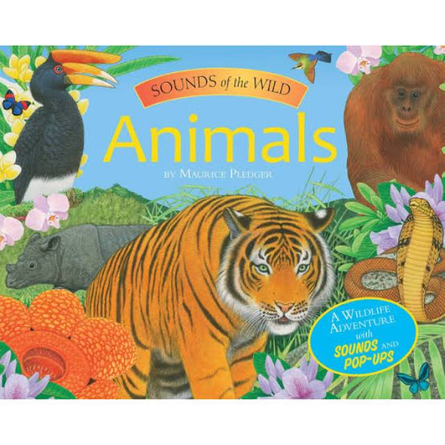 Sounds of The Wild ANIMALS Sound and Pop Up Book