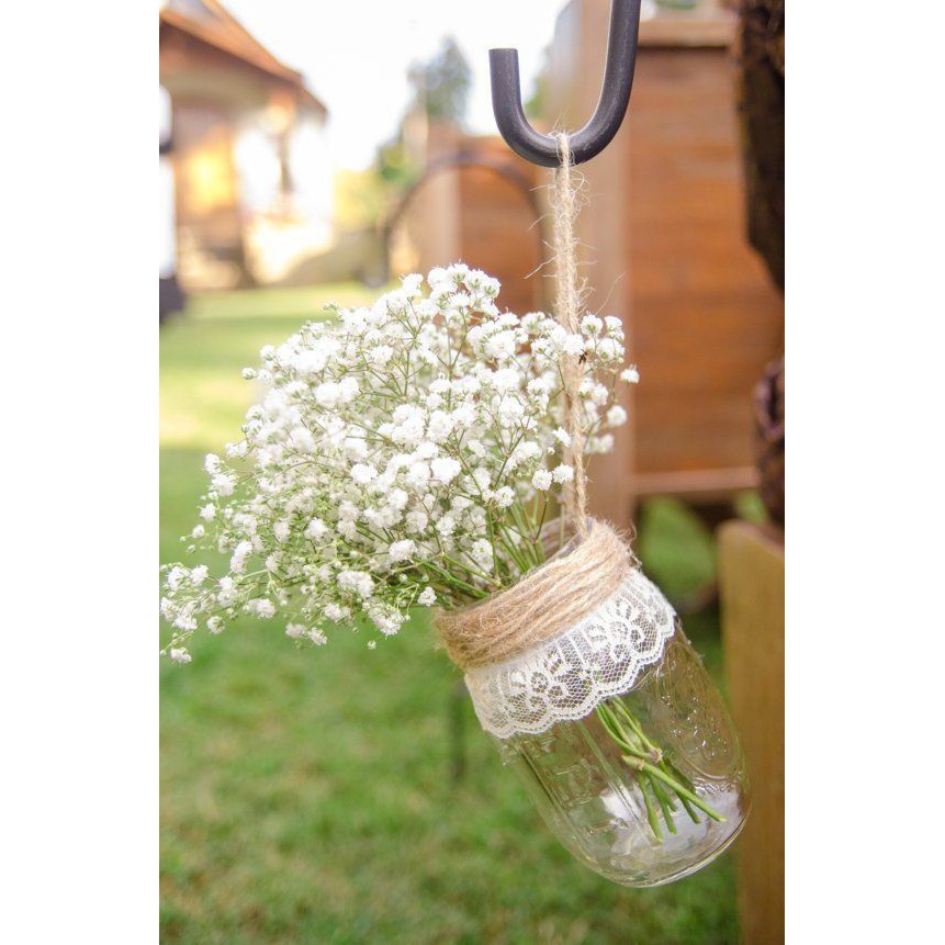 Benih Bibit Biji - Bunga White Baby Breath Putih Gypsophila Elegans Single Alba Flower Seeds - IMPORT