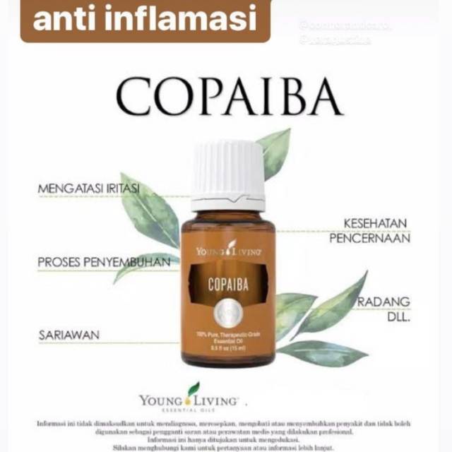 YL Essential Oil - Copaiba