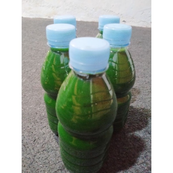 

Bisa COD atau bayar di tempat Sirup Es Ijo Khas Kediri (bisa untuk 200-250 porsi es)