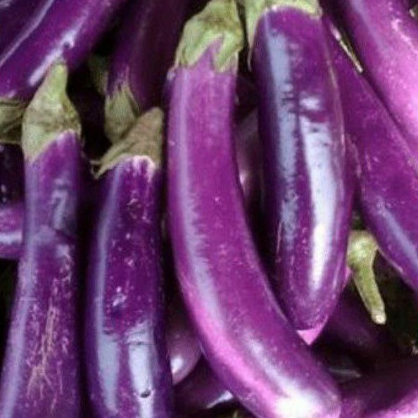 

Terong Ungu dan Terong bulat 250 gr - 1 kg