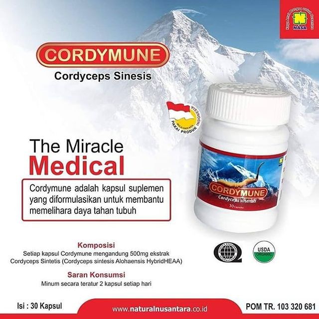 

CORDYMUNE NASA 0bat herbal Asma Bronkhitis dan disfungsi jantung serta gagal ginjal