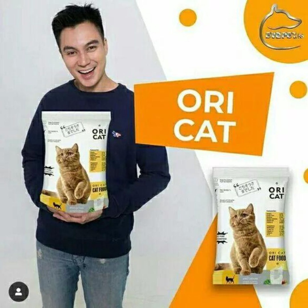 Pakan Kucing Ori Cat Kitten Adult Makanan Kucing Kering Hair And Skin FEFARM