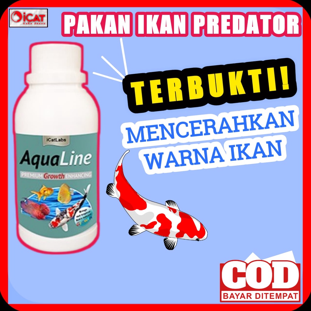 PAKAN WARNA IKAN AQUARIUM IKAN HIAS IKAN ARWANA IKAN LOUHAN IKAN KOI ARWANA IKAN KOI AQUALINE