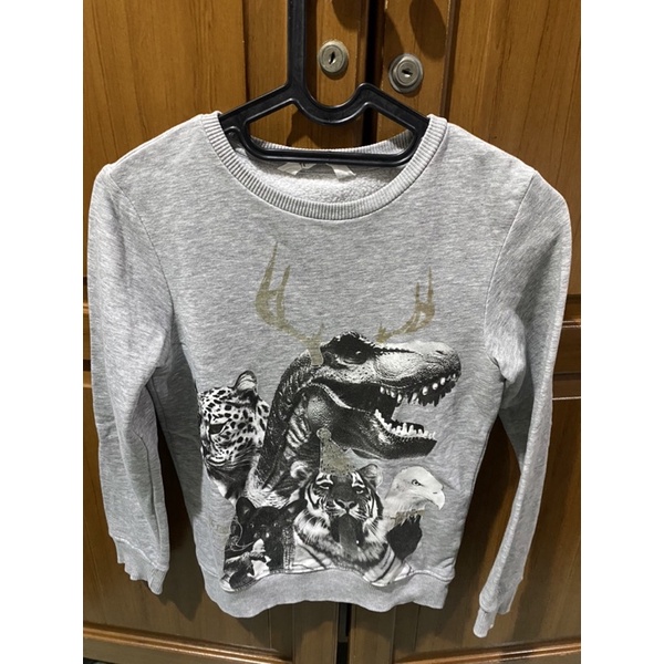 dinosaur kids Sweater
