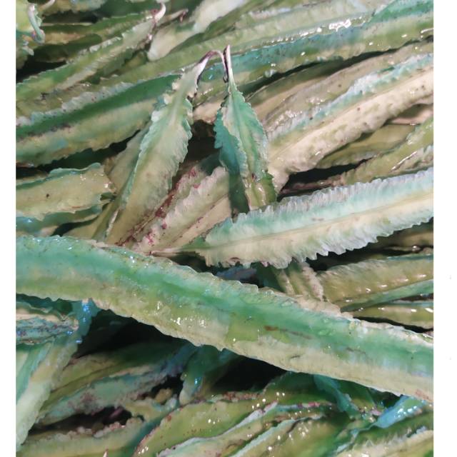 

Kecipir/500 gram