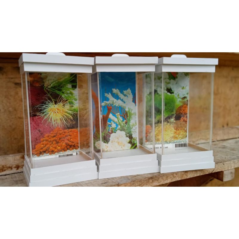 Aquarium tempel dinding