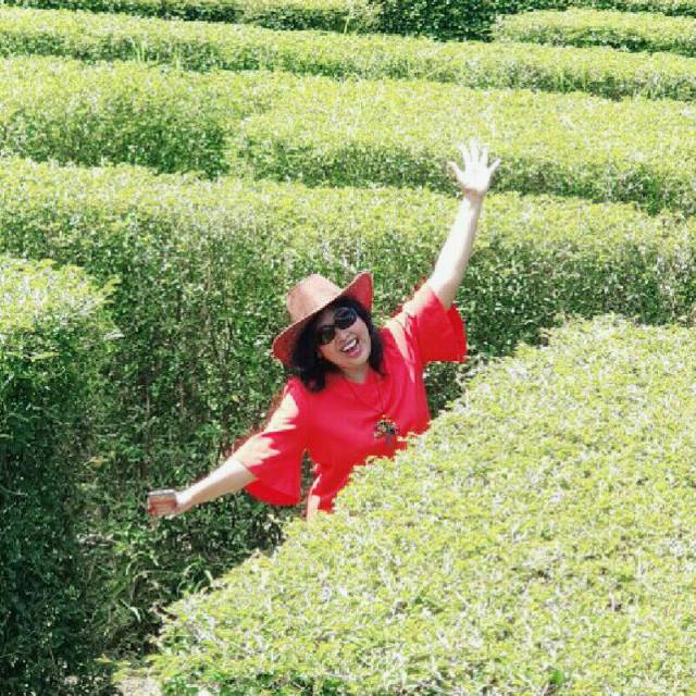 dewi_setijowati