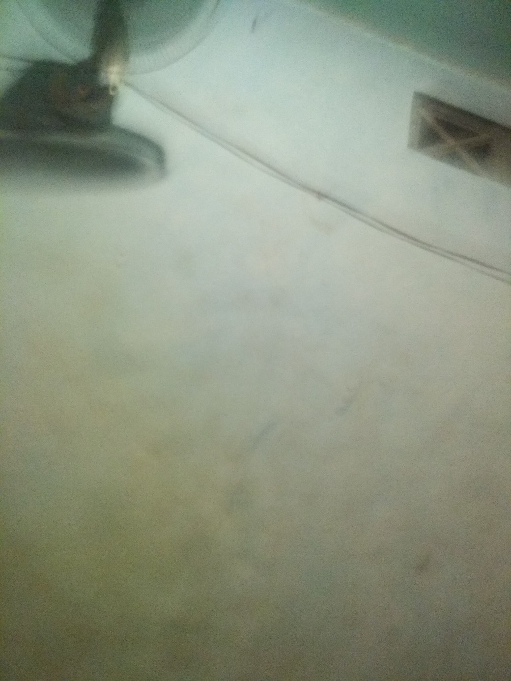 807 Cat Tembok Kiloan Super Warna Kacanari(kuning Terang)