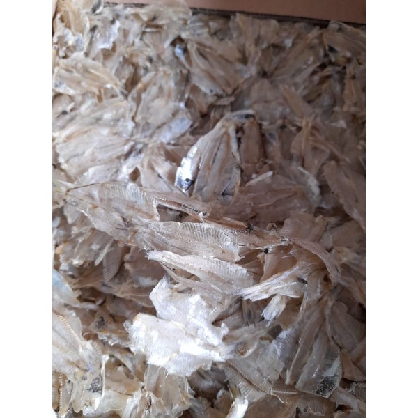 

Ikan Asin PAKANG/PAKKANG/KALAPAN 500 gr