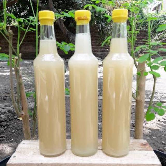 

Madu odeng putih 100% madu asli 600ml